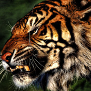 Tiiker1z