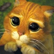 venoXis - steam id 76561197961891149