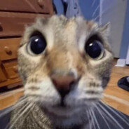 ɹzɾǝןq