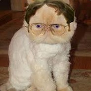 spahfk25