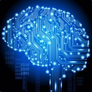 DiggerTheBrains