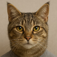 A Cat