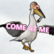 [GG] pelican