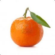 Silent Tangerine