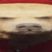 WideBoris