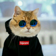 justdexteR