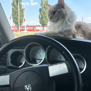 Wampirka