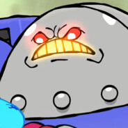Rom113