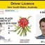 NSW Driver Licence