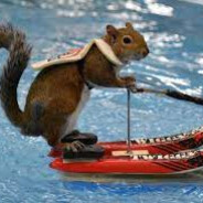 Hamster Muncher