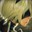 Group Avatar