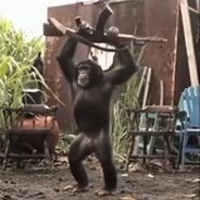 MonkeyTroll's Avatar