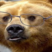legalizebears