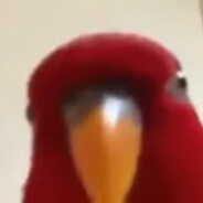 Maytore