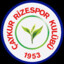 Çaykur Rizespor A.Ş