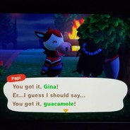 Gina Guacamole
