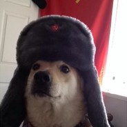 Mizter Doggo
