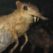 Him.