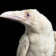 White Crow
