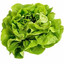 Insalatina