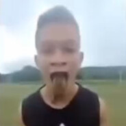bafo de boxta
