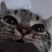 Blinchik