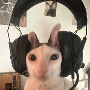 hz