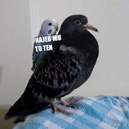 BDNR