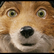 Mr. Fox