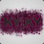 kyky