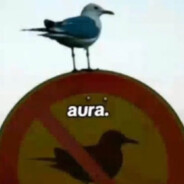 burd