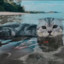 NongMeow