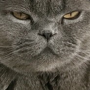 Chubby_Waffles's Avatar