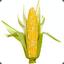 Pickled Corn Inc.