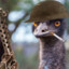 Explosive Emu-nition