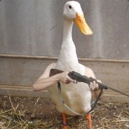 ГУС