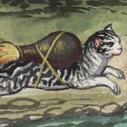 Gato a Jato