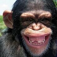 -Macaco-