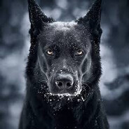 Xxx_KaranlığınAsaleti_xxX's Avatar