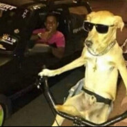 LLLLL