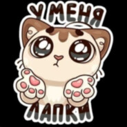 🐾 У МЕНЯ ЛАПКИ 🐾