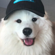 Kokoox