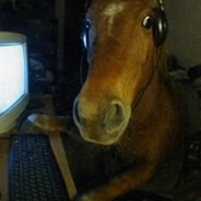 Cavalo Willian