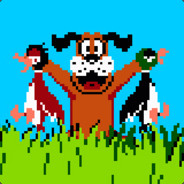 Duck Hunt Training