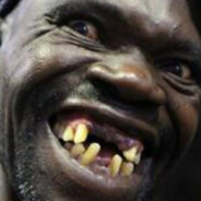 Hammastohtori :      D