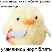 N34AY