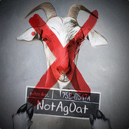 NotAgOat avatar