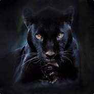 RedPanther