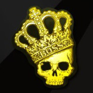 t1m - steam id 76561197964431868