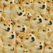 doge